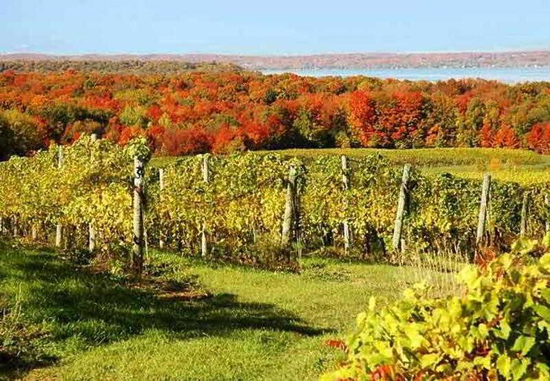 Fairfield Inn & Suites Traverse City Esterno foto